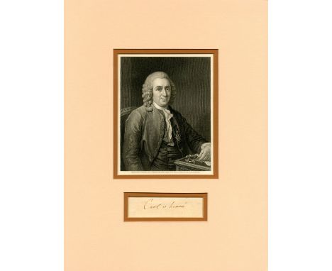 LINNAEUS CARL: (1707-1778) Swedish botanist, zoologist and physician who formalised binomial nomenclature, the modern system 