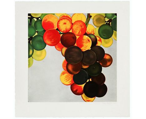 Karin Kneffel.  (1957 Marl). Trauben. 2005. Farbaquatintaradierung auf Velin. 60 x 60 cm (77 x 77 cm). Signiert, datiert und 