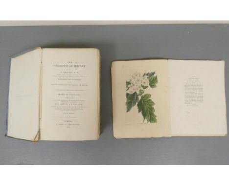 SALISBURY WILLIAM.&nbsp;&nbsp;The Botanist's Companion or An Introduction to the Knowledge of Practical Botany &amp; the Uses