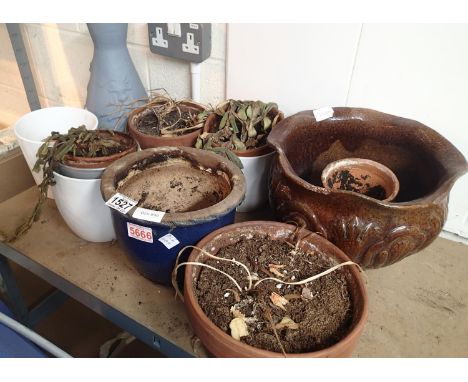 Selection of mixed ceramic garden pots to include glazed examples. Not available for in-house P&amp;P, contact Paul O'Hea at 