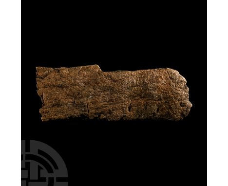 Upper Cretaceous Period, circa 70 million years B.P.. Comprising a large rectangular section of the frill bone.   324 grams, 