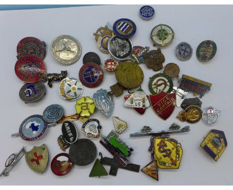 A collection of enamel badges