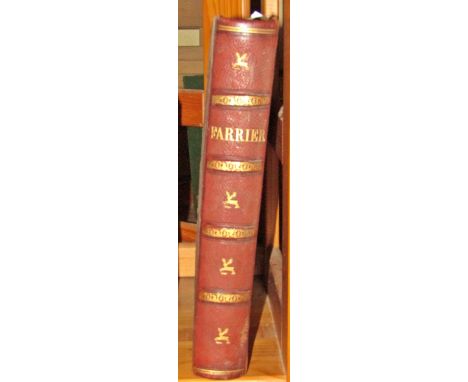 Victorian book on Farriery: Modern Practical Farriery - A Complete Guide to all that Relates to the Horse by W J Miles, illus