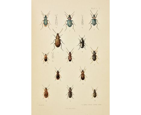 Fowler (W.W.). The Coleoptera of the British Islands, 6 volumes including Supplement (with Horace and John Donisthorpe), 1st 