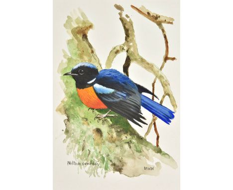 Deignan (Herbert G.). The Birds of Northern Thailand, (Smithsonian Institution United States National Museum Bulletin 186), W