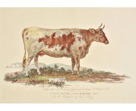 *Cattle. Garrard (George), Nine prints originally published in 'A Description of the Different Varieties of Oxen Common in th