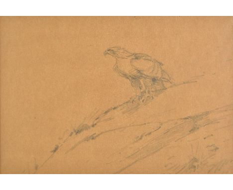 *Lodge (George Edward, 1860-1954). Golden Eagle on a rocky outcrop,  pencil sketch on pale brown paper, unsigned, mount-stain
