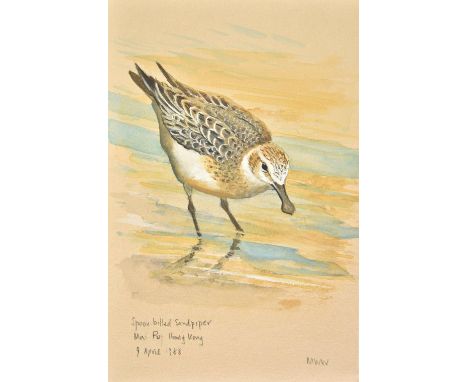La Touche (J.D.D.). A Handbook of the Birds of Eastern China (Chihli, Shantung, Kiangsu, Anhwei, Kiangsi, Chekiang, Fohkien, 