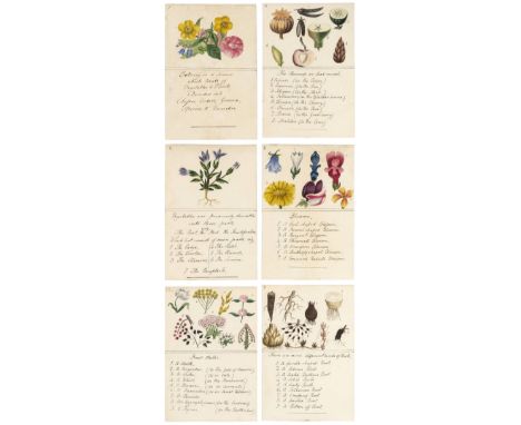 *Botanical cards. A set of twenty-two hand-drawn cards, circa 1810,  22 cards, each with pen, ink, and watercolour illustrati