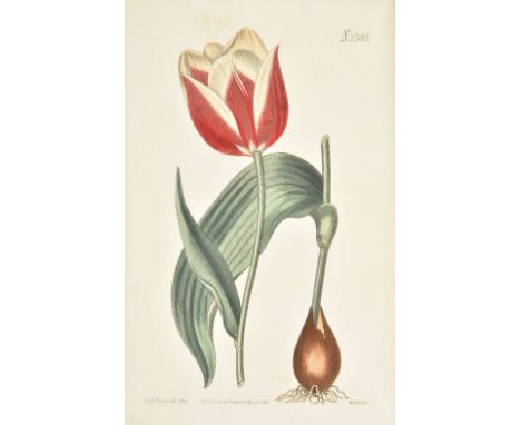 Curtis (William, and others). The Botanical Magazine; or Flower Garden Displayed...., Seven volumes, 1787, 1821, 1822, 1823, 