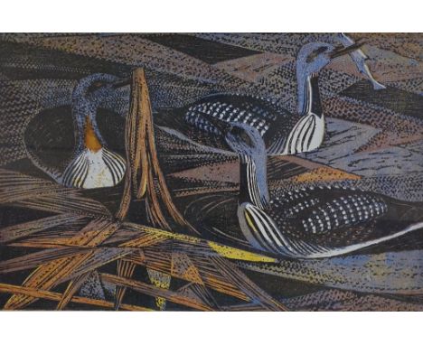 John Osborne, screen print, red and black throated divers, signed in pencil, from an edition of 475, image size 18" x 28", fr