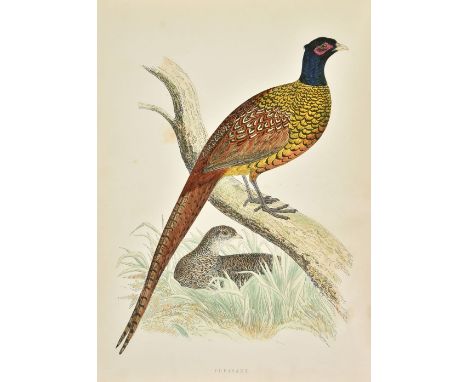 Morris (Beverley R.) British Game Birds and Wildfowl, 1st edition, 1855, 60 hand-coloured engraved plates, occasional light s