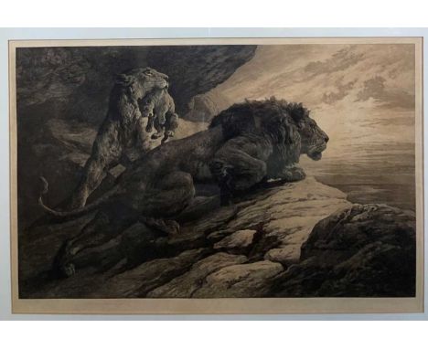 Herbert Thomas Dicksee RE (1862-1942) 'The Alarm', a family of lions on the lookout,etching, hand-signed in pencil,published 