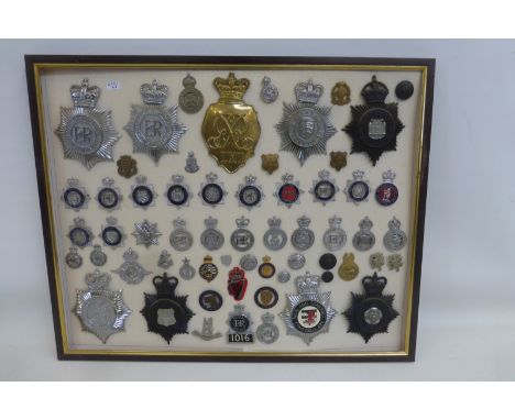A framed display of 60 police helmet plates and cap badges. All appear to retain their fixings to the reverse.