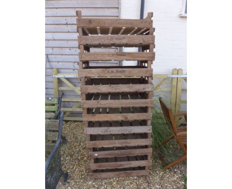 Twelve vintage Potato chitting trays