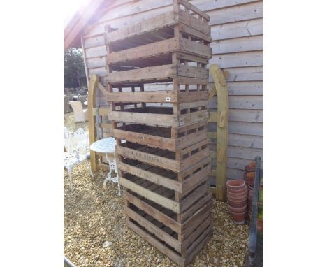 Twelve vintage Potato chitting trays