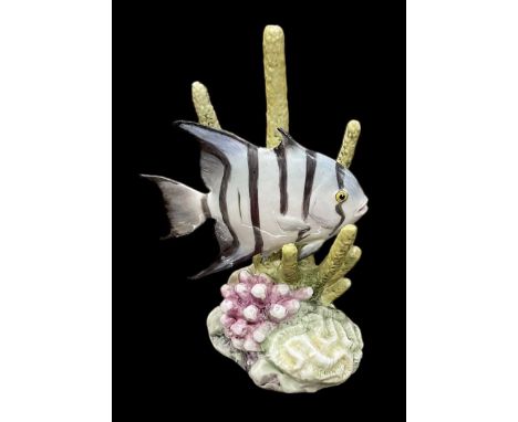 ROYAL WORCESTER; a model of a spadefish by Ronald van Ruyckevelt, model no. 3579, marks to base, height 13cm.