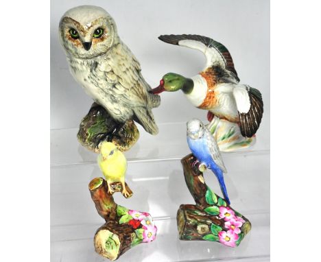 A Beswick mallard, preparing to fly, height 14cm (af), two Alton china bird figures, a canary and a blue budgerigar (af) and 