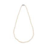 CULTURED PEARLS WITH SAPPHIRE AND DIAMOND CLASP