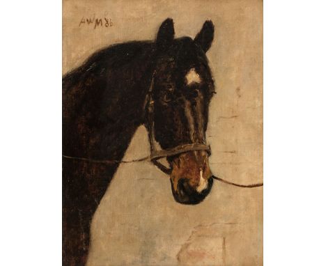 * English School. Portrait of a horse, 1886, oil on canvas, head and neck portrait of a brown horse, with white star and snip