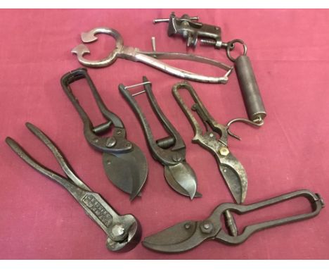 A tray of vintage secateurs, weighing scales and a small vice.