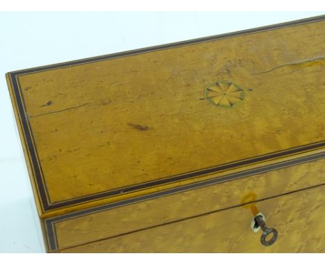 A 19th century satinwood tea caddy, rosewood and boxwood edges with fitted inner caddies, width 29cm.