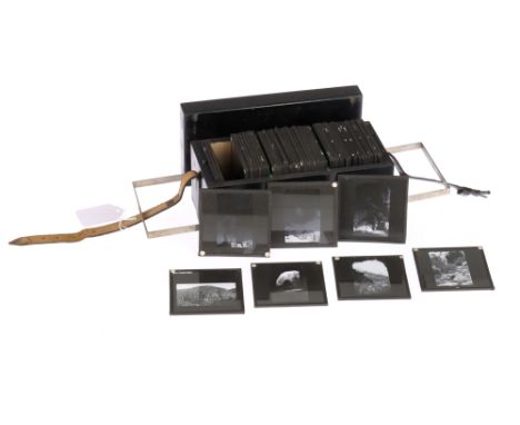 Collection of Magic Lantern Slides - Ceylon &amp; Tea Production Collection of Magic Lantern Slides of Ceylon and tea product
