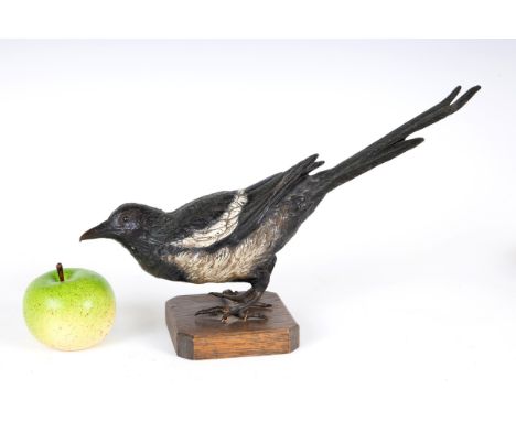 A large late 19th/early 20th century Austrian cold painted bronze Magpie, 34 cm wide, on a later stand, 21.5 cm high (overall