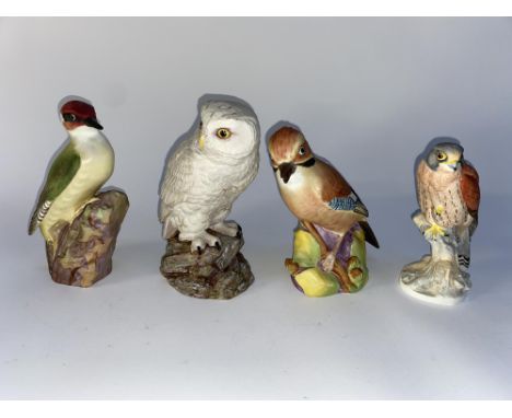 Three Royal Worcester matte studies of birds, including a 'Kek the Kestrel' and an Aynsley Snowy Owl study