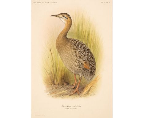 * Grönvold (Henrik). [Eighteen plates from The Birds of South America by Wyndham Knatchbull Hugessen, 3rd Baron Brabourne, &a