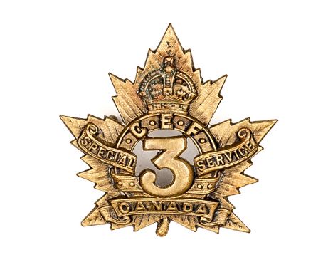 A C.E.F. cap badge of the 3rd Special Service Company, (60-5-3). GC Plate 3