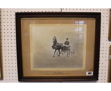 Framed Photographic Print of 'Kitty Melbourne, Champion Pony London Hackney Show 1913' By WW Rouch &amp; Co of London 30 x 24