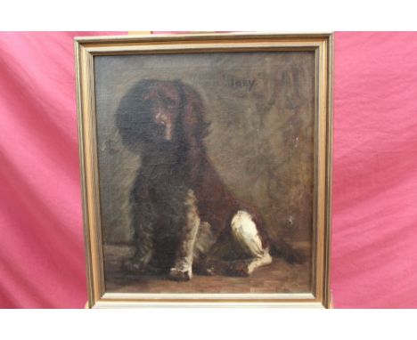 19th century English school oil on canvas - portrait of a Spaniel, “Joey”, in gilt frame, 45cm x 40cm 
