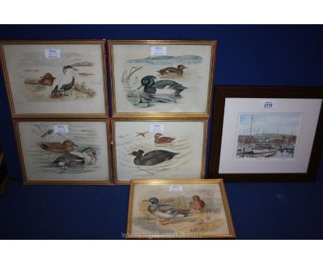 Five gilt framed Watercolours depicting various breeds of ducks, (unsigned), along with a limited Edition Print no. 155/850 o