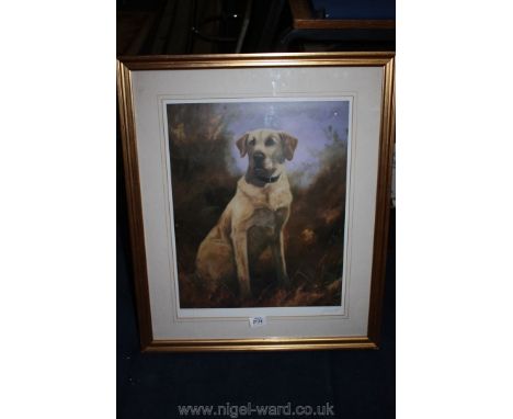 A John Trickett limited edition Print of a golden Labrador, signed in pencil
