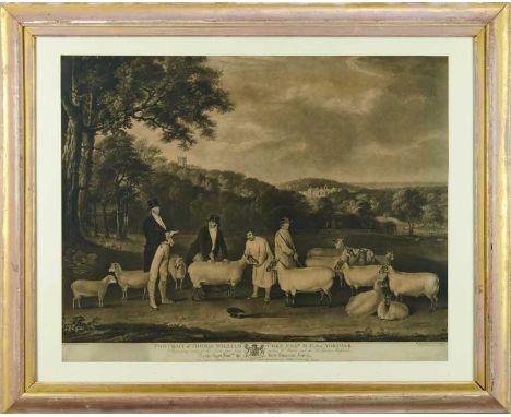 Early 19th century engraving by William Ward after Thomas Weaver - Portrait of Thomas William Coke Esq. M.P., for Norfolk, pu