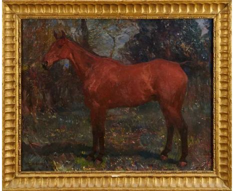 *Sir Alfred Munnings (1878-1959) oil on canvas - A Bay Hunter in Landscape, signed and dated 1908, 41cm x 51cm, in gilt frame