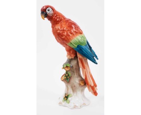 Large continental porcelain model of a parrot, possibly Samson, naturalistically modelled and hand painted, gold anchor mark 