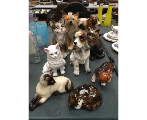 A QUANTITY OF CERAMIC CATS AND DOGS INCLUDING A LARGE SPANIEL AND YORKSHIRE TERRIER 