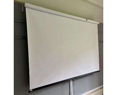 PROJECTOR SCREEN