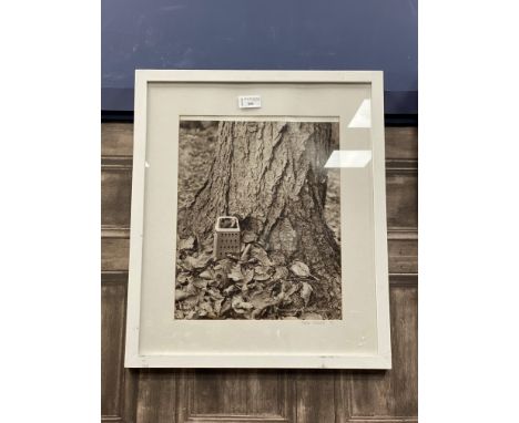 LUCIA FORLUCCI, AUTUMN S GRATING, colour print, signed and dated '91 36cm x 28cm Mounted, framed and under glass