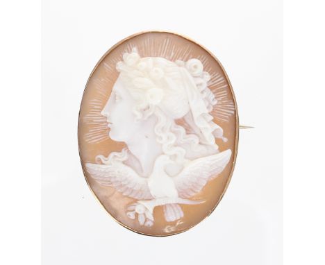 Victorian 9ct oval cameo portrait brooch carved in relief with a profile portrait of a young beauty over a dove perched on a 
