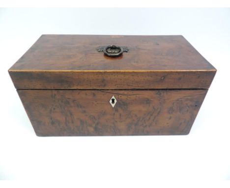 Victorian Walnut Tea Caddy - 30cm Wide x 15cm High 