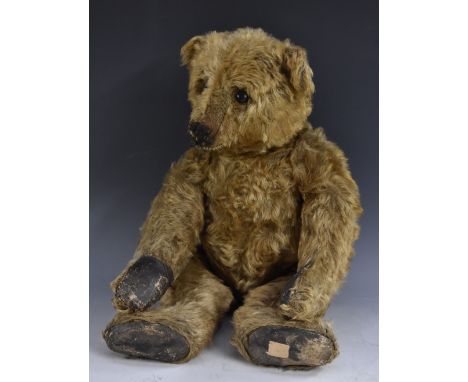 A Steiff mohair jointed teddy bear, with hump, straw filled  button eyes, horizontal stitched nose, small ears, leather pads,