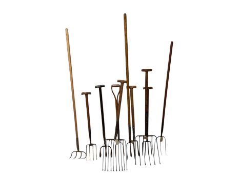 A collection of vintage garden tools, including a potato fork, a vintage beet fork, and further forks (10).