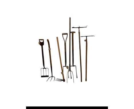 A collection of vintage farming tools, including a duck weed pond spade, a rare manure dumping hook, etc (8).