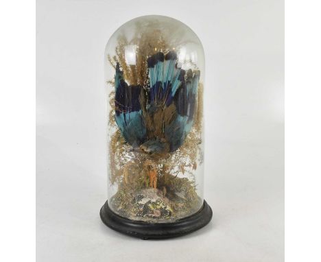 TAXIDERMY; a late Victorian model of an Indian roller bird, in glass dome, height 43cm.