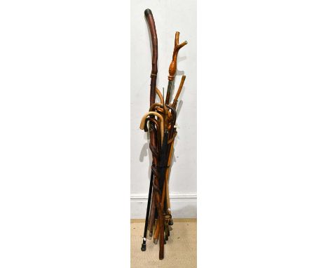 A collection of twelve walking sticks, the longest a carved wood example decorated with a serpent and with hardstone ball han