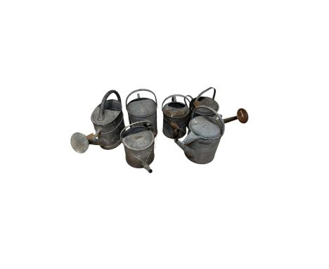 Six vintage galvenised watering cans, including an unusual oval example with rose (6).