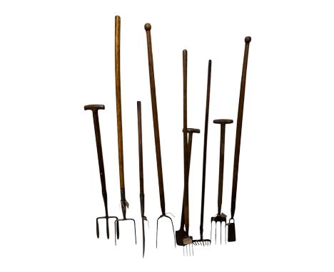 Nine vintage garden/farming tools, including a slashing hook, various forks, etc (9).